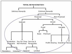 Remuneration